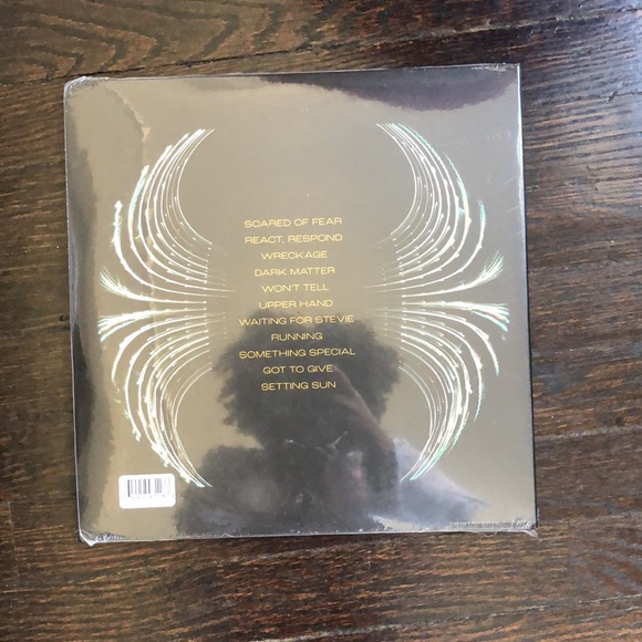 Pearl Jam dark matter black  vinyl rock + blues record released 2024 - Picture 5 of 6